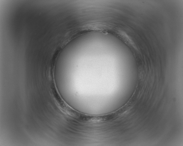 X0000070860213200606161019