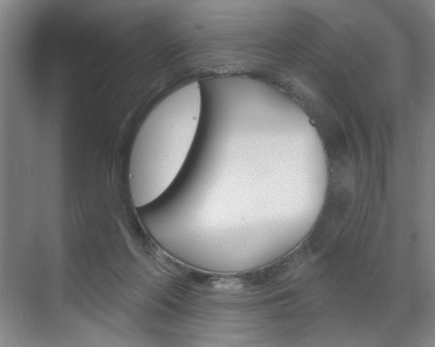 X0000070860214200606161019