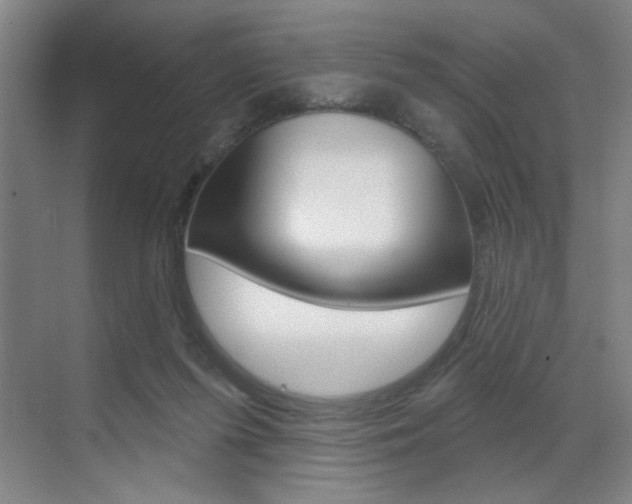 X0000070860215200606161019