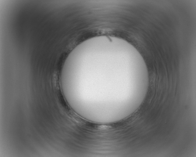 X0000070860222200606161019