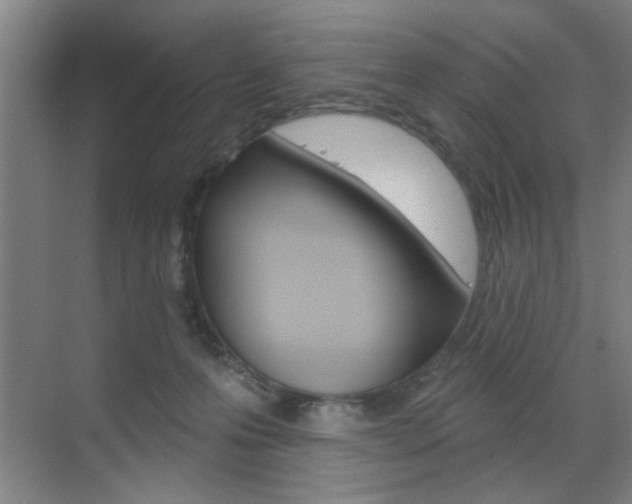 X0000070860223200606161019