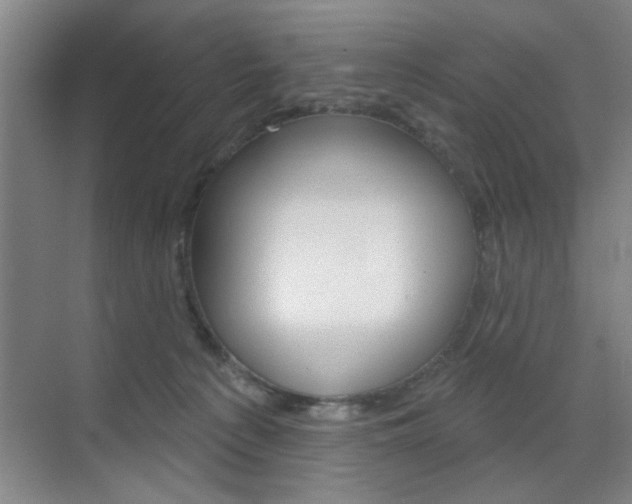 X0000070860225200606161019
