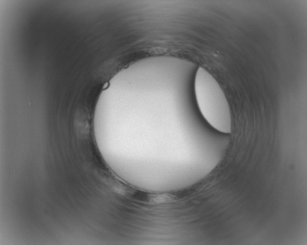 X0000070860226200606161019