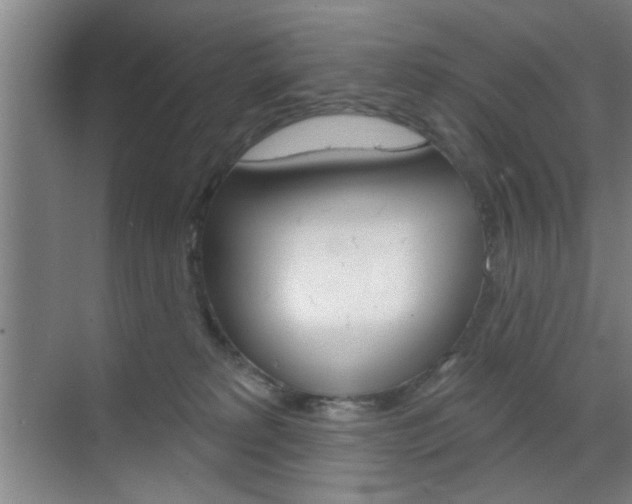 X0000070860229200606161019