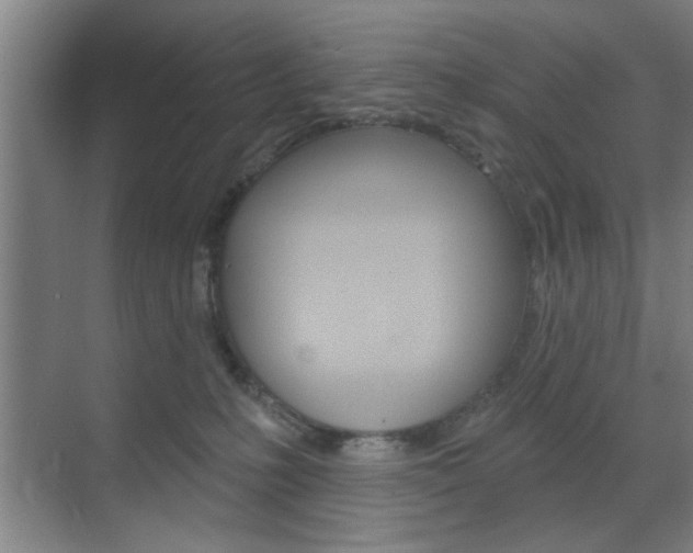 X0000070860231200606161019