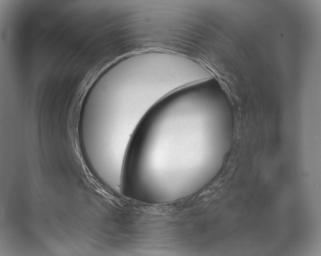 X0000070860241200606161018