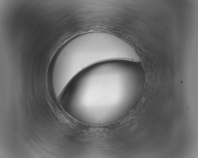 X0000070860242200606161018