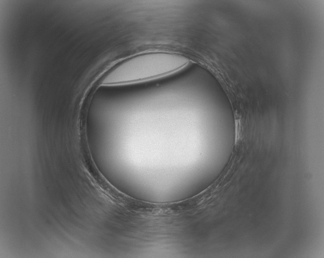 X0000070860243200606161018