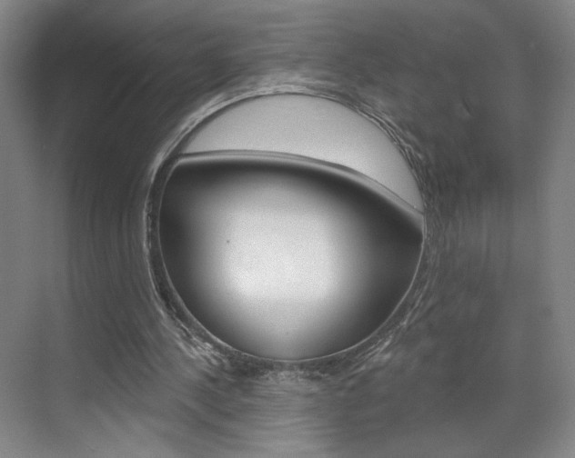 X0000070860244200606161018