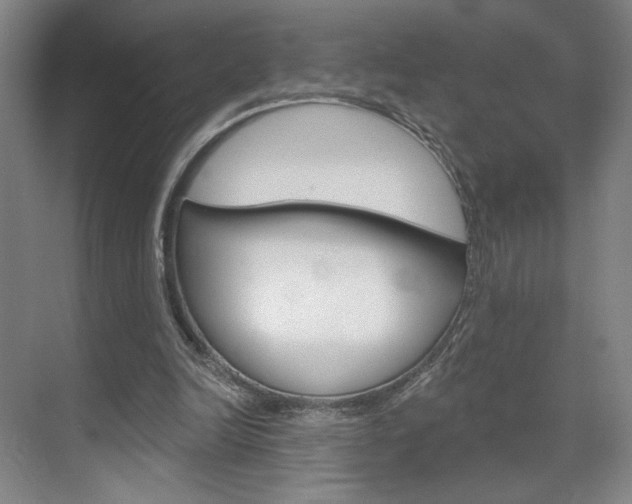X0000070860246200606161018