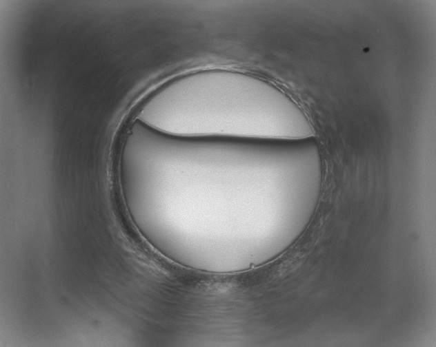 X0000070860247200606161018