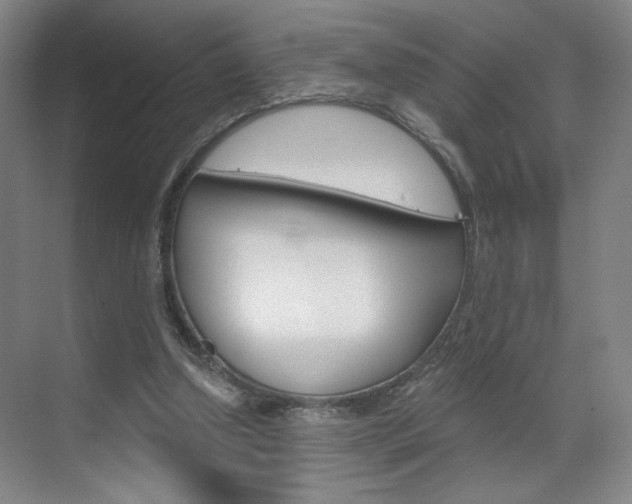 X0000070860250200606161018