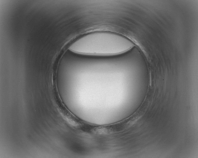 X0000070860253200606161018