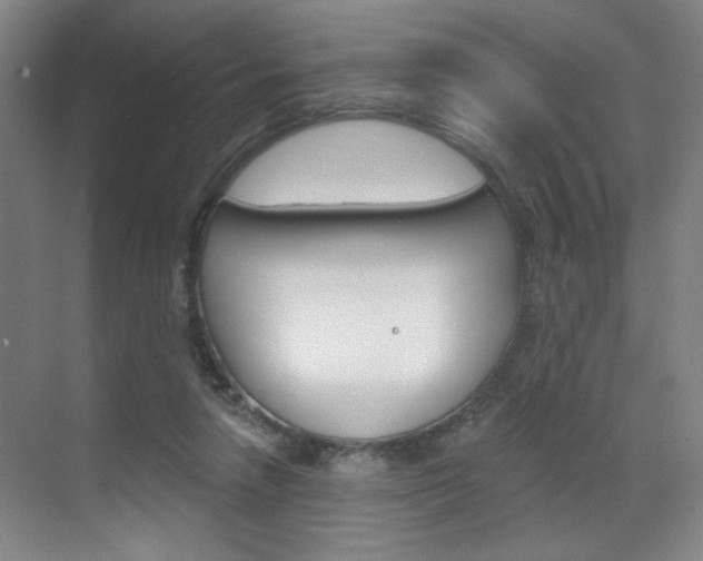 X0000070860258200606161018