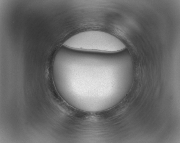 X0000070860259200606161018