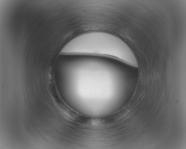 X0000070860264200606161018