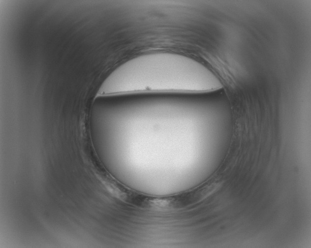X0000070860265200606161018