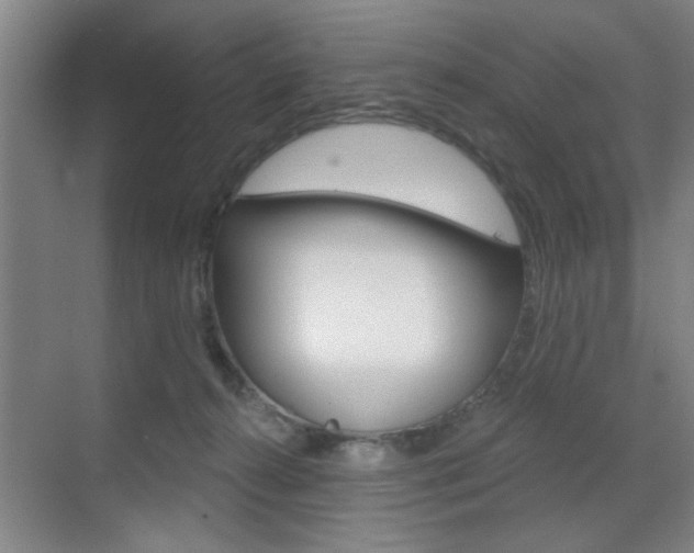 X0000070860272200606161018