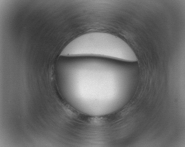 X0000070860273200606161018