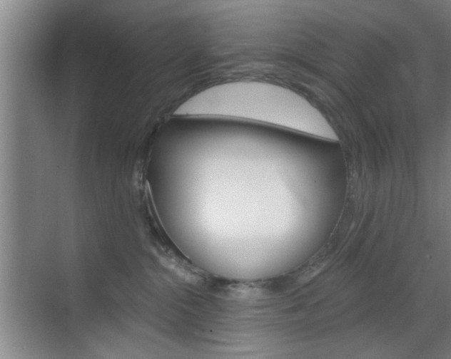 X0000070860284200606161018