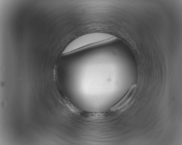 X0000070860288200606161018