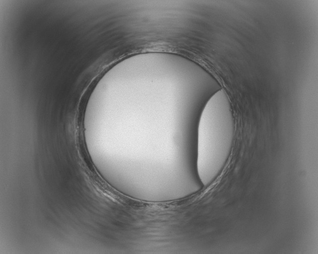 X0000070860290200606161018