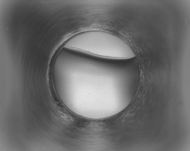 X0000070860292200606161018