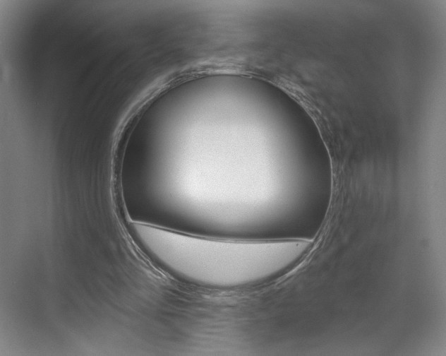 X0000070860293200606161018