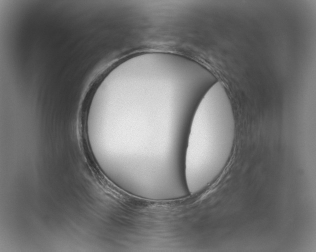 X0000070860294200606161018