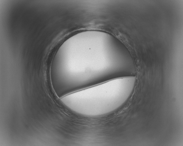 X0000070860295200606161017