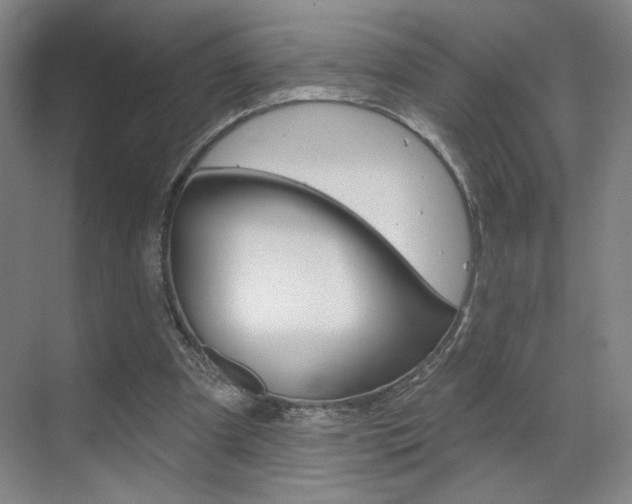 X0000070860297200606161017