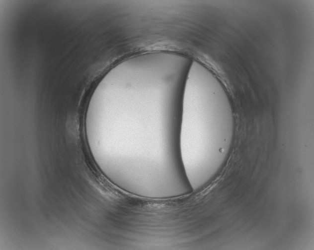 X0000070860298200606161017