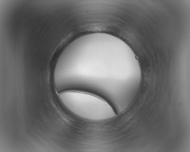 X0000070860304200606161017