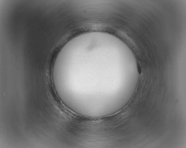 X0000070860306200606161017