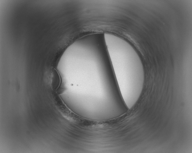 X0000070860307200606161017