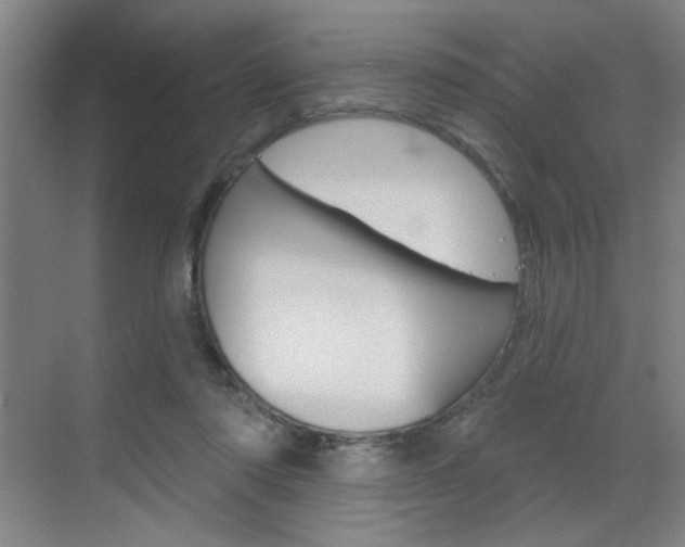 X0000070860310200606161017