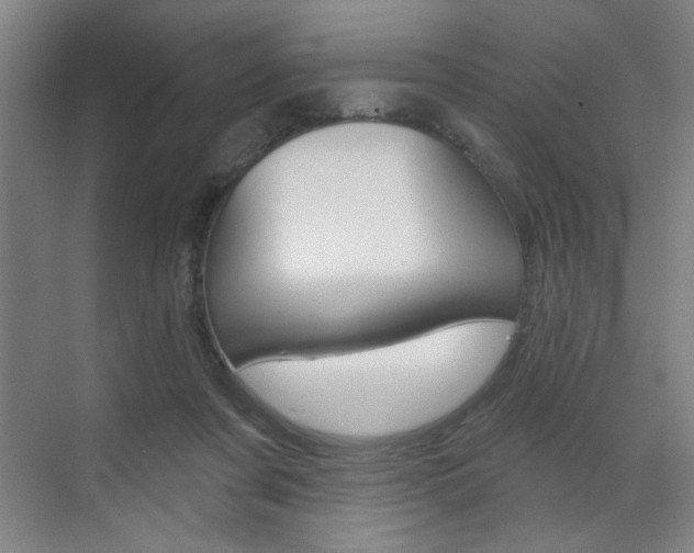 X0000070860311200606161017