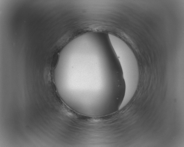 X0000070860313200606161017