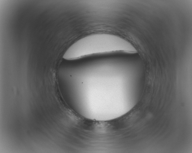 X0000070860321200606161017