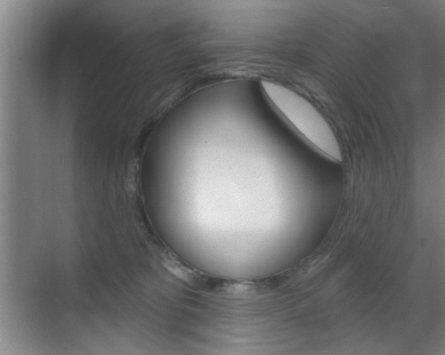 X0000070860325200606161017