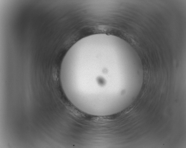 X0000070860331200606161017