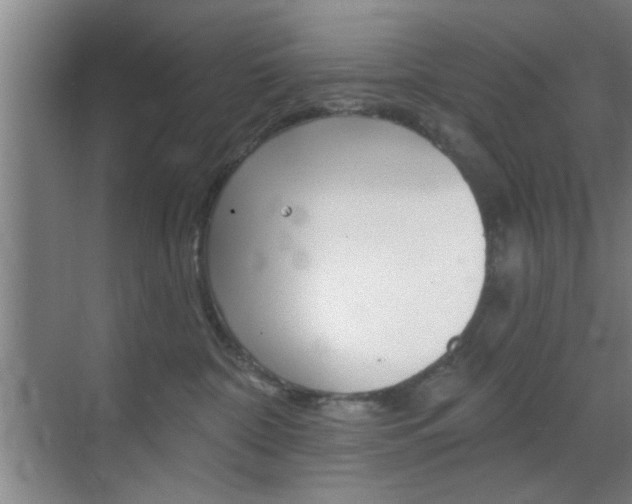 X0000070860332200606161017