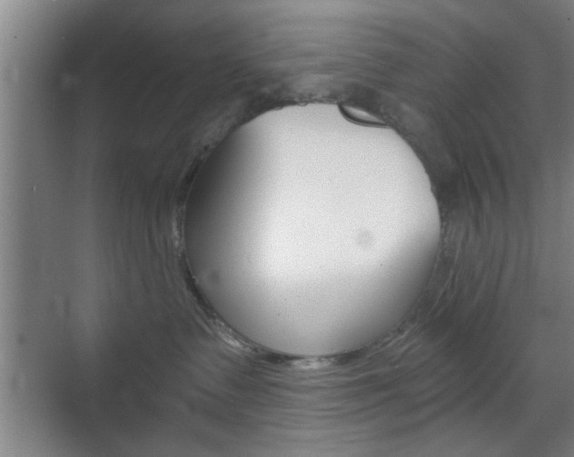 X0000070860335200606161017