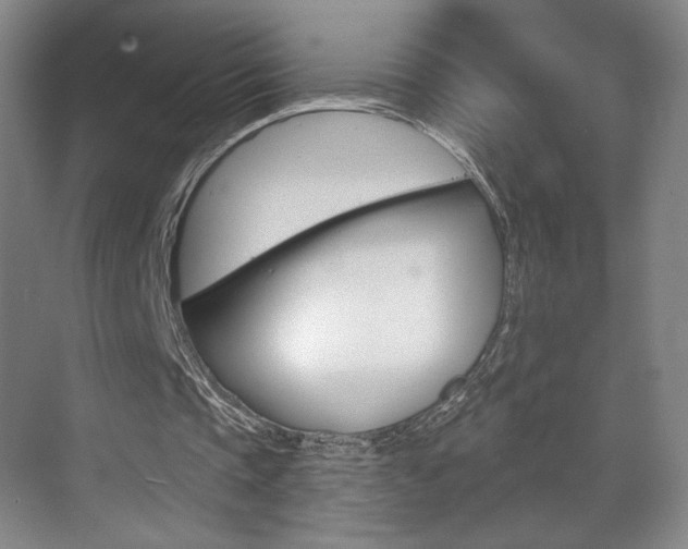 X0000070860337200606161016