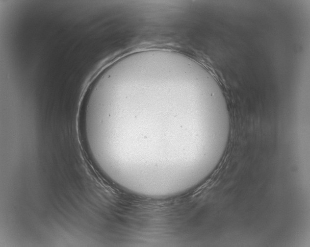 X0000070860340200606161016