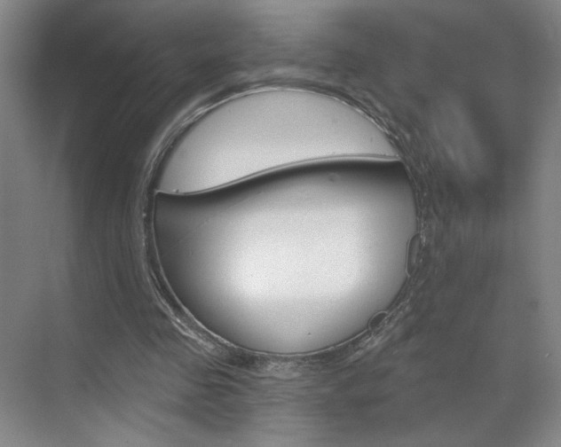 X0000070860341200606161016
