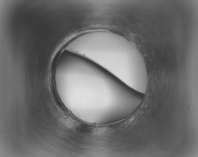 X0000070860342200606161016
