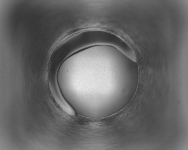 X0000070860344200606161016