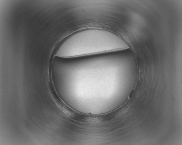 X0000070860349200606161016
