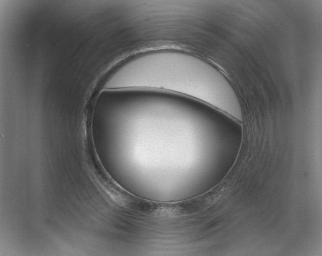 X0000070860350200606161016